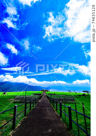 八丈島ふれあい牧場 74635126