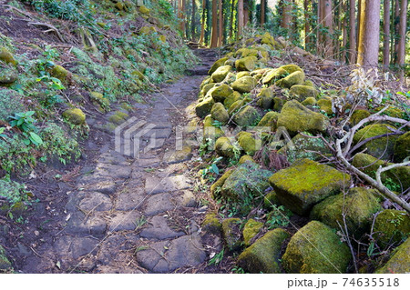 鋸山登山道 車力道コース 千葉県鋸南町 の写真素材