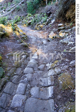 鋸山登山道 車力道コース 千葉県鋸南町 の写真素材