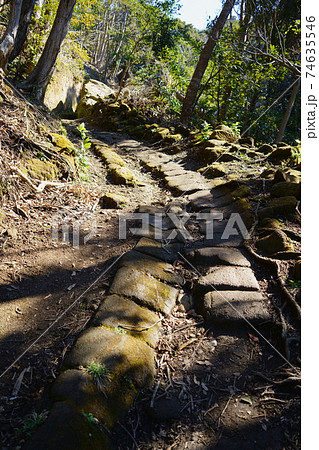 鋸山登山道 車力道コース 千葉県鋸南町 の写真素材