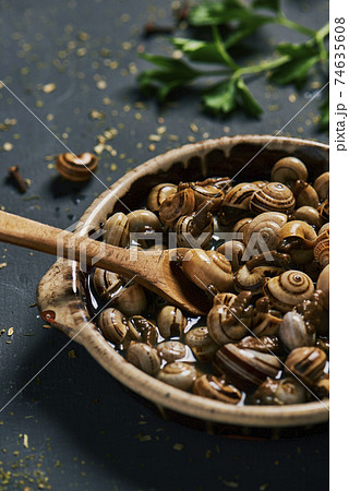spanish recipe of snails in brow, in a plate 74635608