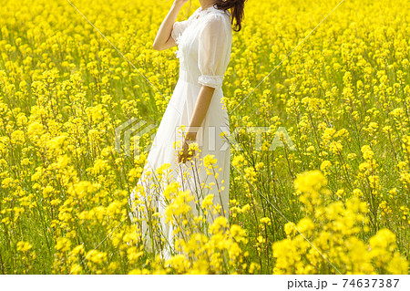 菜の花畑に立つ白ワンピースの女性の写真素材