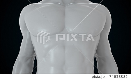 Model of the human body from head to toe, computer generated. 3d rendering transparent male figure. The digital background 74638382
