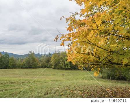 Colorful yellow, green, orange maple tree branches with meadow, forest and hills. Autumn landscape in Luzicke hory Lusatian Mountains, Czech Republic. Colorful yellow, green, orange maple tree branches with meadow, forest and hills. Autumn landscape in Luzicke hory Lusatian Mountains, Czech Republic. 74640711