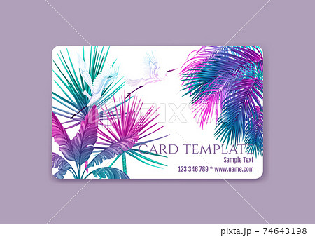 Plastic debit or credit, pass, discount, membership card template Plastic debit or credit, pass, discount, membership card template 74643198