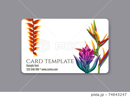 Plastic debit or credit, pass, discount, membership card template Plastic debit or credit, pass, discount, membership card template 74643247