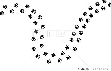 Paw trail of animal cat or dog print pattern footpath. Print paw walking wildlife mark isolated white. Vector cartoon dirt footprint illustration trail silhouette cat or dog. Track step foot pet trace 74643585