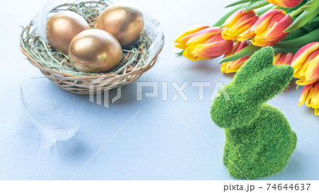 Easter Golden eggs in basket with spring tulips, white feathers on pastel blue background in Happy Easter decoration. Spring holiday concept. 74644637