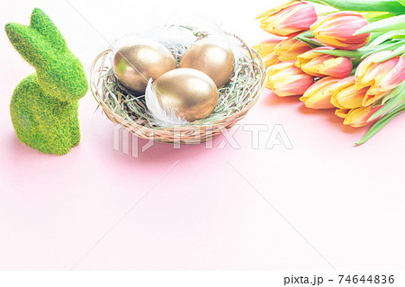 Easter eggs Golden color in basket with spring tulips, white feathers on pastel pink background in Happy Easter decoration. Festive decoration. Easter eggs Golden color in basket with spring tulips, white feathers on pastel pink background in Happy Easter decoration. Festive decoration. 74644836