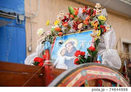 parade of horses with carriages the celebrations of Saint Anthony of Padua 74644998