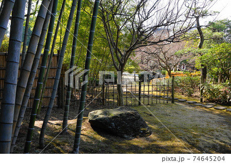 2月 府中238茶室「梅欅庵」・府中市郷土の森博物館 2月 府中238茶室「梅欅庵」・府中市郷土の森博物館 74645204
