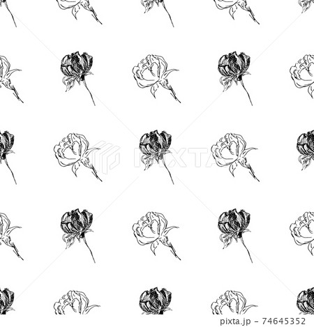 Doodle simple vector seamless pattern of hand-drawn peonies. Seamless random pattern of hand-drawn peonies. Isolated on white background. Doodle simple vector seamless pattern of hand-drawn peonies. Seamless random pattern of hand-drawn peonies. Isolated on white background. 74645352
