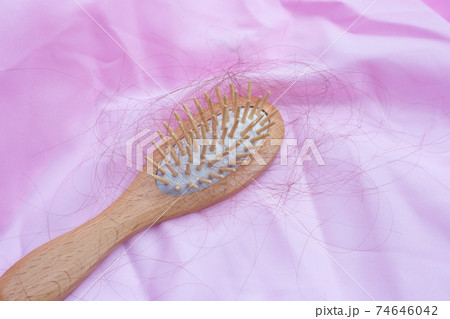 Hairs loss fall in comb 74646042