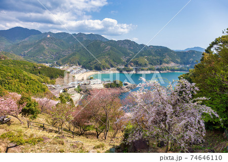 鬼ヶ城城跡　(3月　晴れ　桜) 74646110