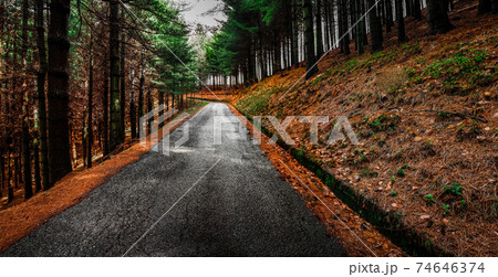 Mountain asphalt road in nature and trees Mountain asphalt road in nature and trees 74646374