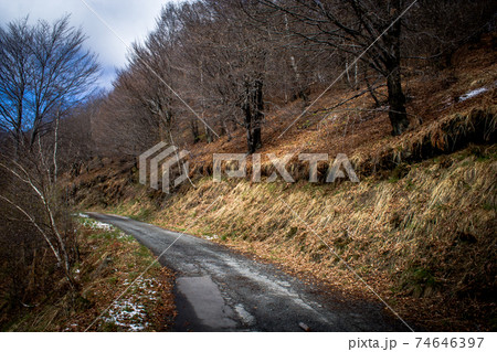 Mountain asphalt road in nature and trees 74646397