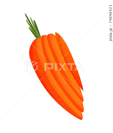 Carrot. Orange root with green carrot top. Vegetable vector sketch. Fresh cartoon vegetable isolated on white background. Colorful sliced carrot Carrot. Orange root with green carrot top. Vegetable vector sketch. Fresh cartoon vegetable isolated on white background. Colorful sliced carrot 74646421