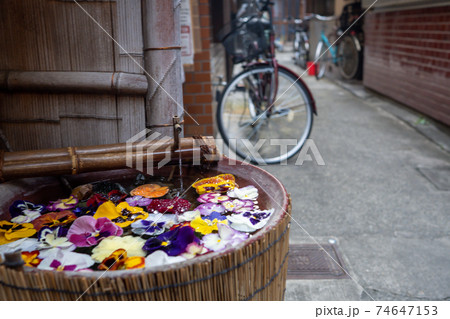 京都市東山区・中京区の路地を撮影 京都市東山区・中京区の路地を撮影 74647153