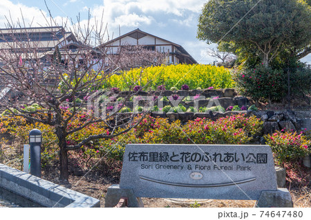 佐布里緑と花のふれあい公園の写真素材 佐布里緑と花のふれあい公園の写真素材