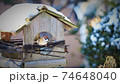 冬のぷくぷくしたすずめがエサを食べている姿 74648040