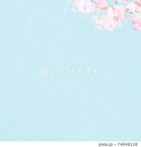 シンプルで爽やかな桜の背景 複数のバリエーションがありますのイラスト素材