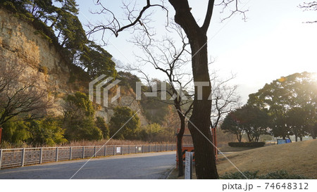 横浜、本牧市民公園 74648312