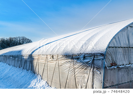 雪景色　ビニールハウスに積もった雪 74648420