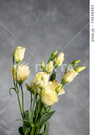Light eustomas on a gray background, Copy space. Blur and selective 74648465