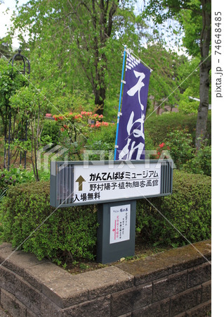 7Dかんてんぱぱガーデン2018年その20 74648485