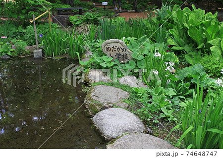 7Dかんてんぱぱガーデン2018年その100 74648747