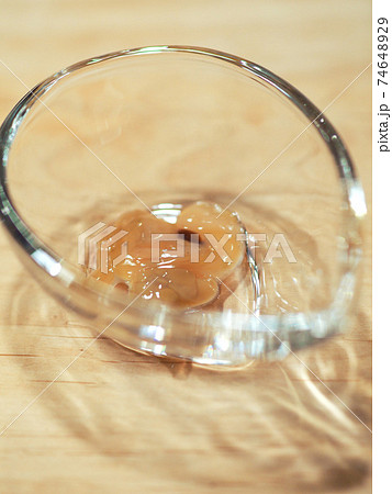 このわた　ナマコ料理 74648929