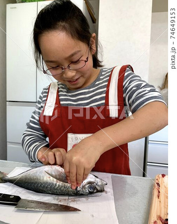 魚を捌くお手伝いする小学生の写真素材