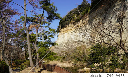 横浜、本牧市民公園 横浜、本牧市民公園 74649473