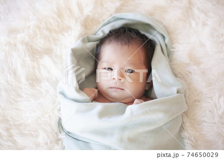 新生児 74650029