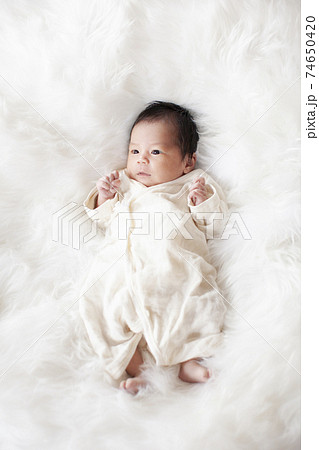赤ちゃんのポートレイト 74650420