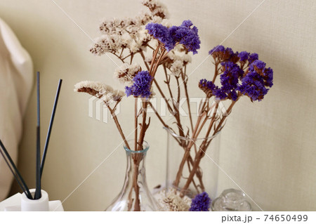 部屋の花瓶に白と紫のスターチスのドライフラワー 74650499