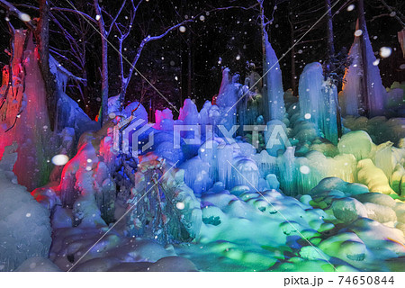 【氷点下の森】ライトアップされた氷の芸術 【氷点下の森】ライトアップされた氷の芸術 74650844