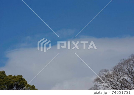 冬の青空と白い空。 74651751