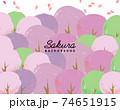 水彩風の桜のベクターイラスト背景 74651915