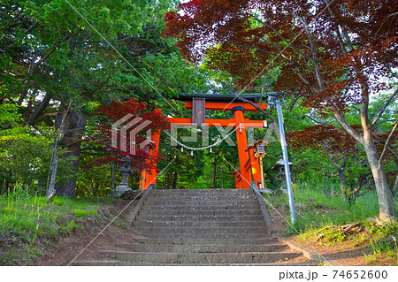 緑の中に映える赤の鳥居 緑の中に映える赤の鳥居 74652600