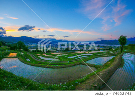ゆっくりとした時間 夕暮れの棚田 ゆっくりとした時間 夕暮れの棚田 74652742