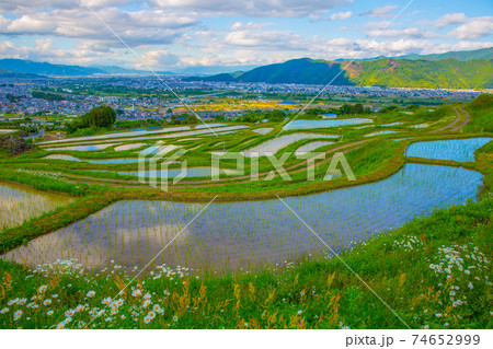 空が反射する棚田 空が反射する棚田 74652999