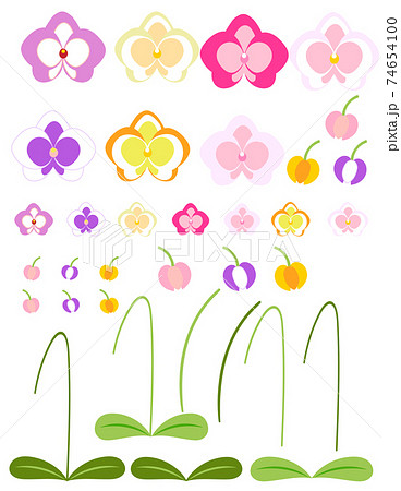 胡蝶蘭の花のイラスト素材セットのイラスト素材