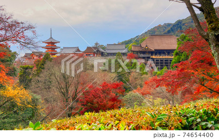 京都清水寺の風景 京都清水寺の風景 74654400