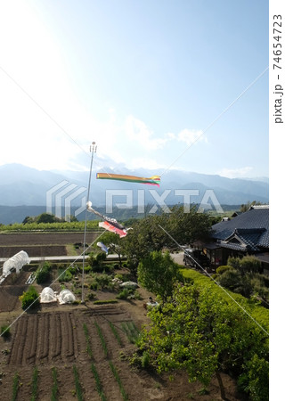 XT2中川村今錦その35 74654723