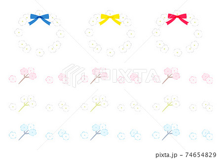 かすみ草 74654829