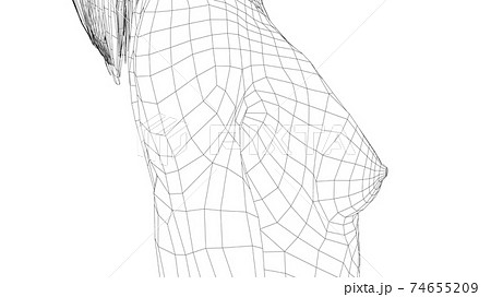 Wireframe female breast. Close-up view 74655209