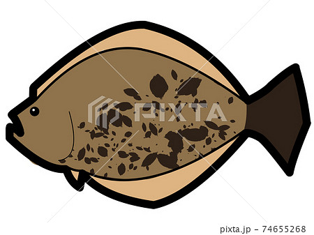 ヒラメのイラストのイラスト素材