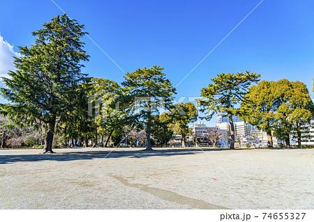 【神奈川県】小田原城址公園の二の丸広場 74655327
