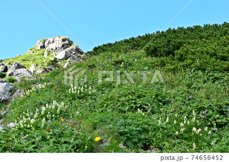夏の白馬岳 白馬岳頂上宿舎付近の景観 夏の白馬岳 白馬岳頂上宿舎付近の景観 74656452